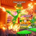 Dragon Cannelloni 2.4B/s Only One In The World With The ST Mutation. PARTICK'S 🍀